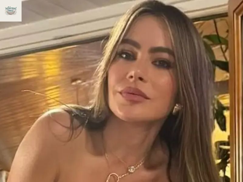Sophia Vergara a Look at Movies Versatile And Entertaining